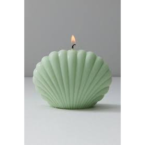 small clam silicone mold