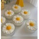 sunflower mold 