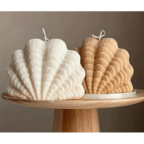 Shell shape template 