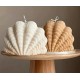 Shell shape template 