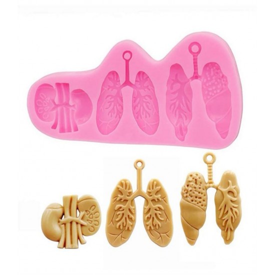 Lungs and kidneys template 