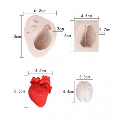 Heart and brain template 