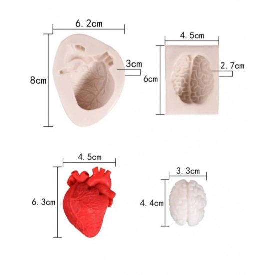 Heart and brain template 