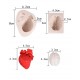 Heart and brain template 
