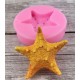 Starfish silicone mold 