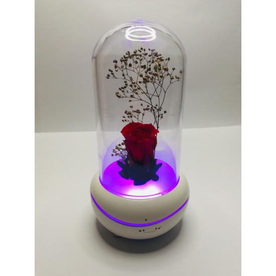 fragrant air diffuser