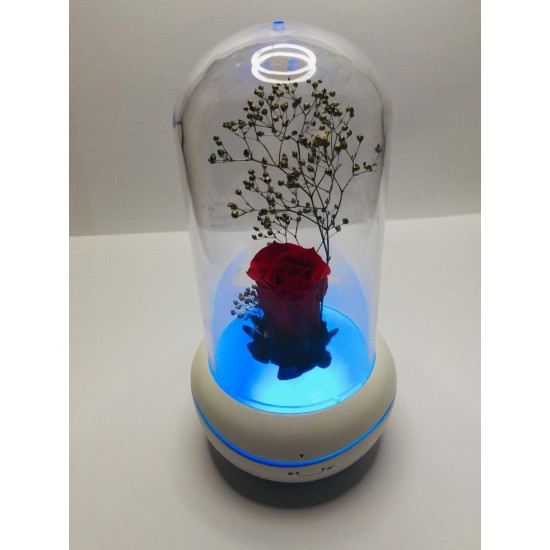 fragrant air diffuser