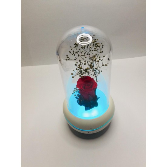 fragrant air diffuser